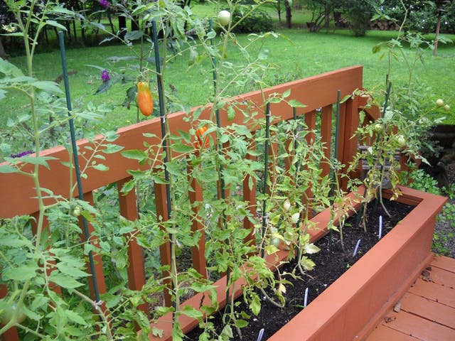 Fox Valley Park District Garden Plots Still Available | Montgomery, IL
