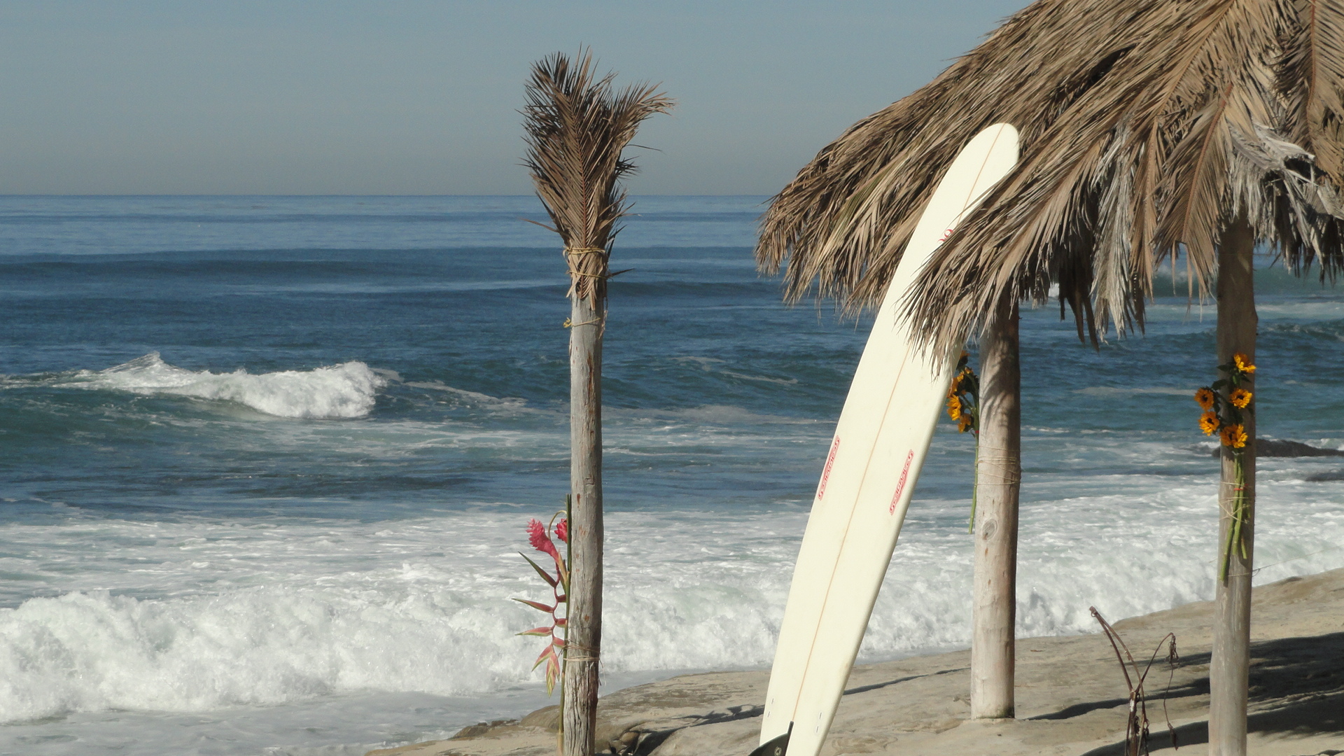 The Shack in La Jolla Ranked Among Top 50 Historical Sports Sites | La ...