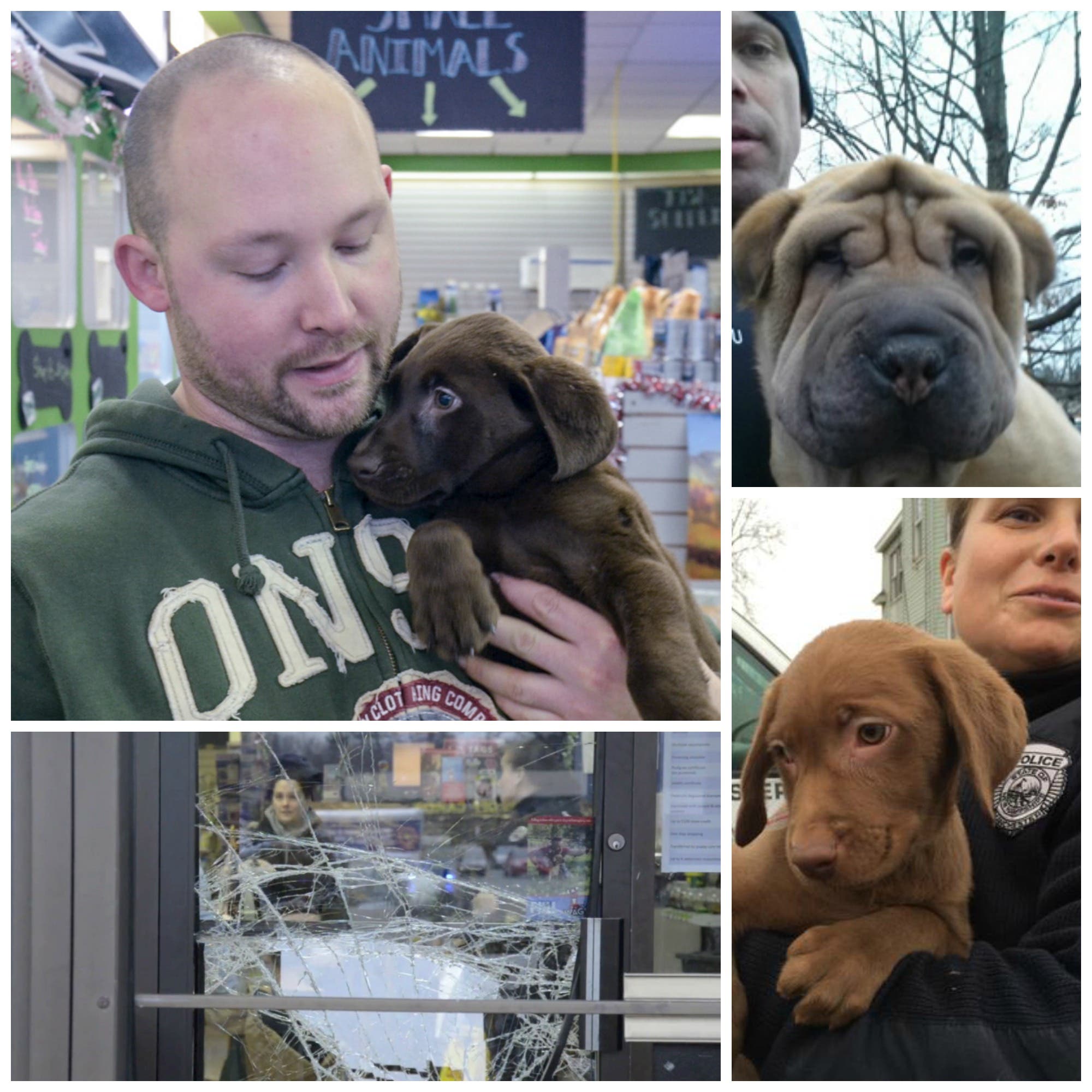 News small post card thumbnail