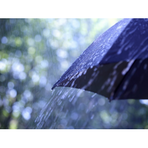 2015045533adef620d0.png