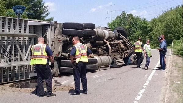 News small post card thumbnail