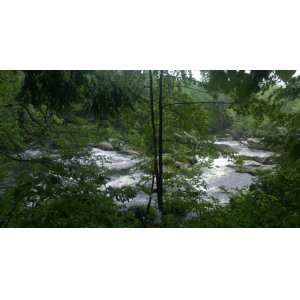 201507559620ea9202e.png
