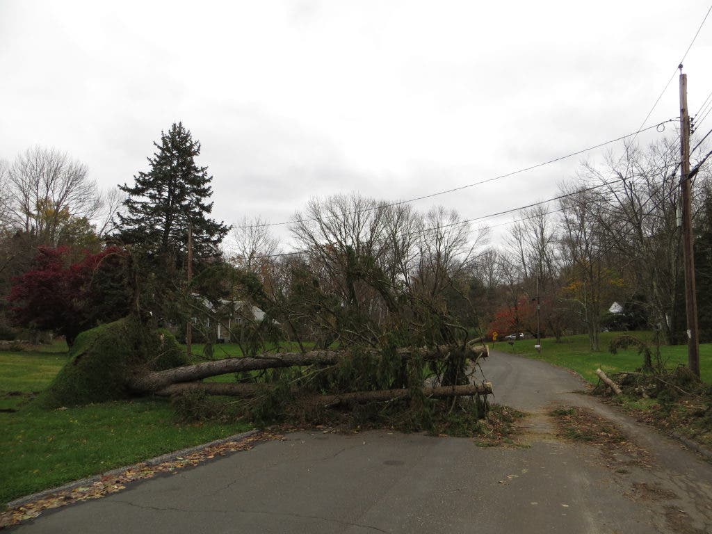 Town Update 32 Blocked New Castle Roads with Wires Chappaqua, NY Patch