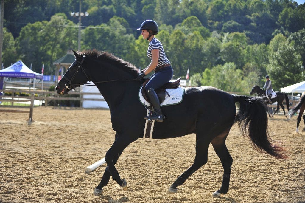 Photos Capital Challenge Horse Show in Upper Marlboro Upper Marlboro