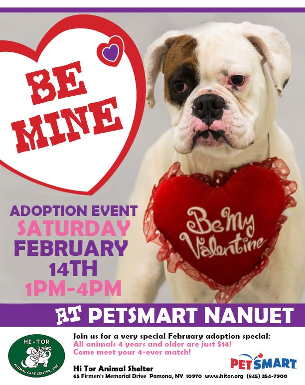 petsmart saturday event