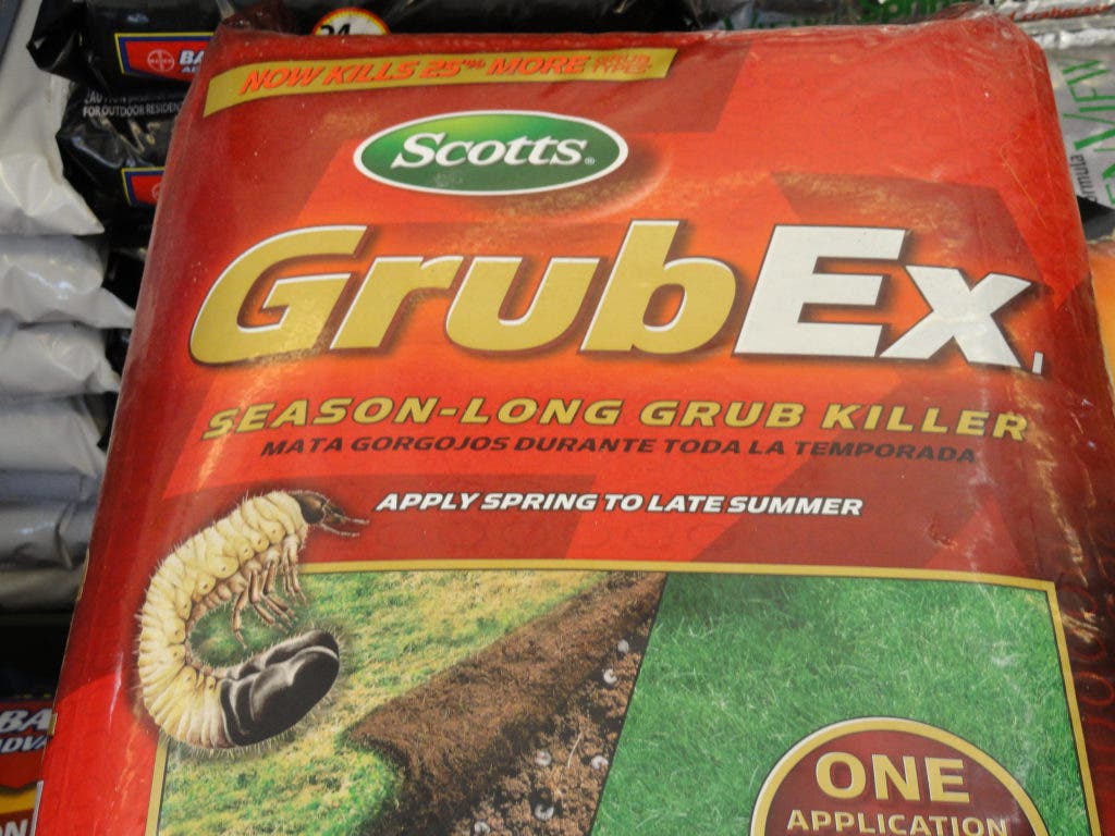 How to Kill Grubs: Local Gardening Expert Outlines Fight Plan ...