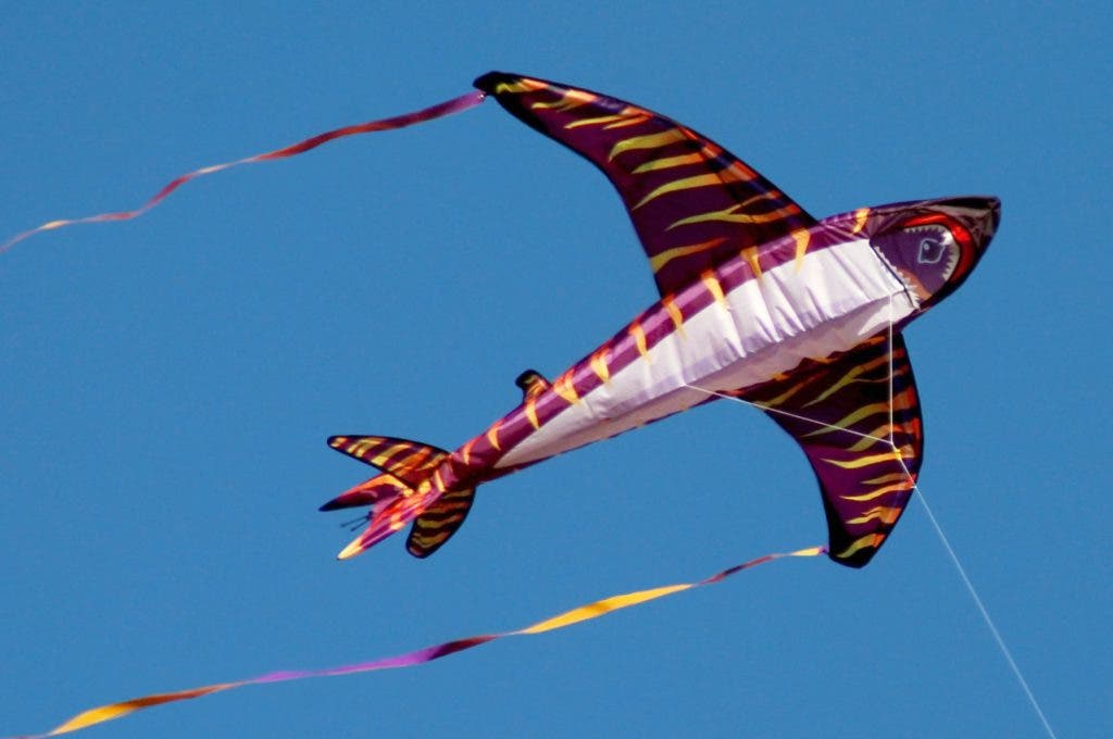 Berkeley Kite Festival This Weekend