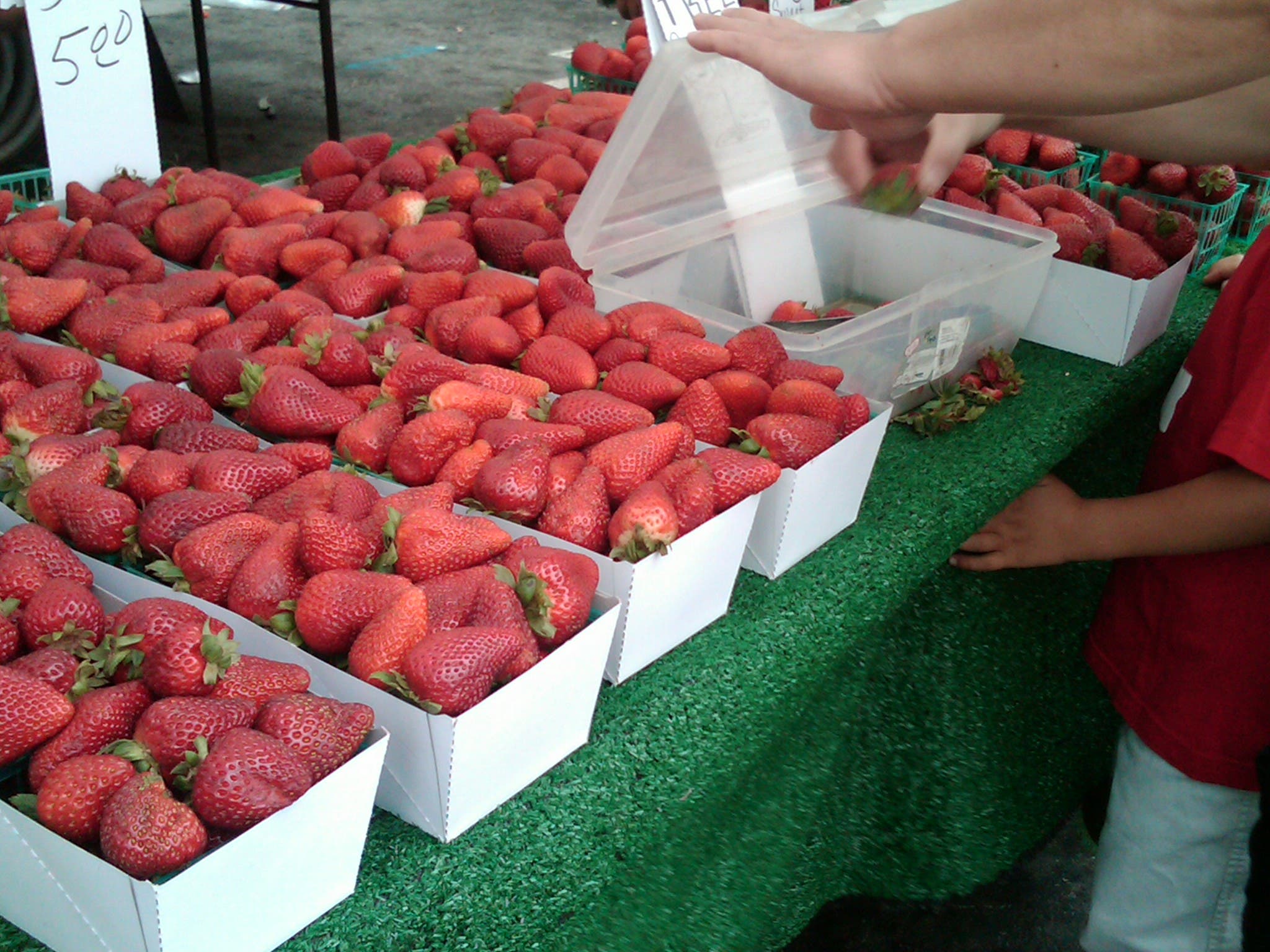 News small post card thumbnail