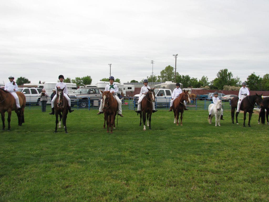Dixon May Fair Junior Horse Show Showcases Skills of Young Solano County  Equestrians | Dixon, CA Patch