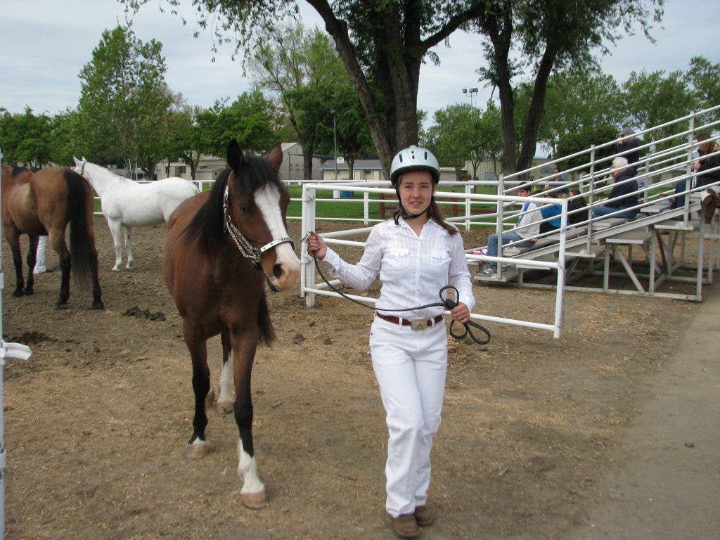 Dixon May Fair Junior Horse Show Showcases Skills of Young Solano County  Equestrians | Dixon, CA Patch