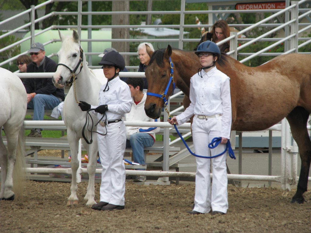 Dixon May Fair Junior Horse Show Showcases Skills of Young Solano County  Equestrians | Dixon, CA Patch