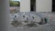 Amphitheater Begins to Rise at New City Hall-0