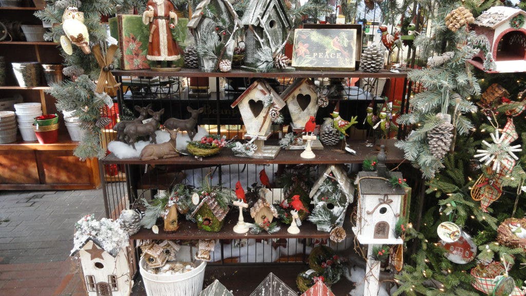 22 Shopping Days Left Bayport Flower House is More Than Just Flowers