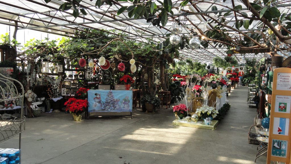 22 Shopping Days Left Bayport Flower House is More Than Just Flowers