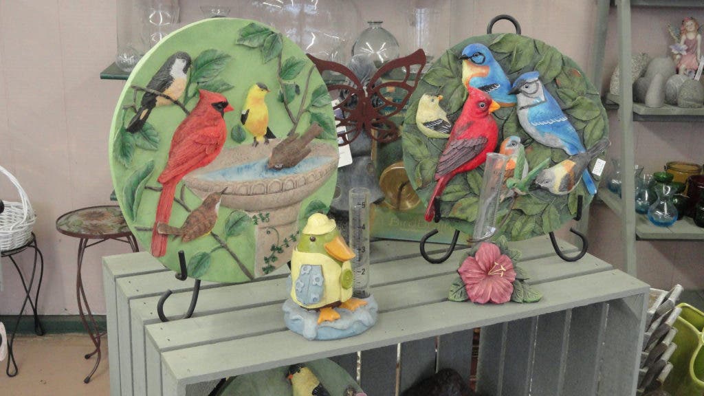 15 Shopping Days Left Daisy Garden Offers More Than Just Plants