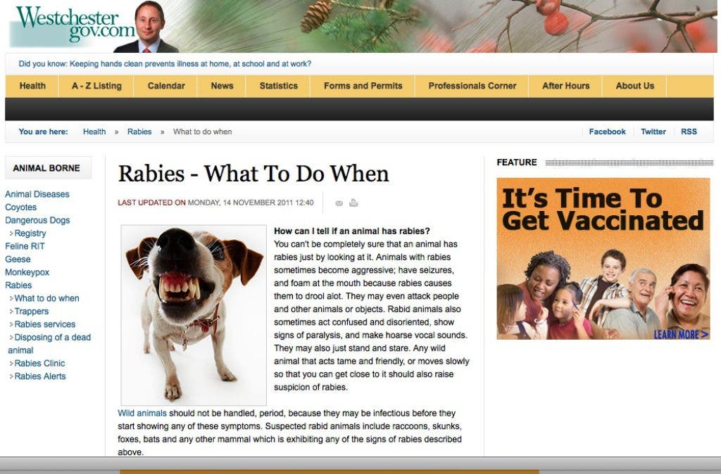 News small post card thumbnail