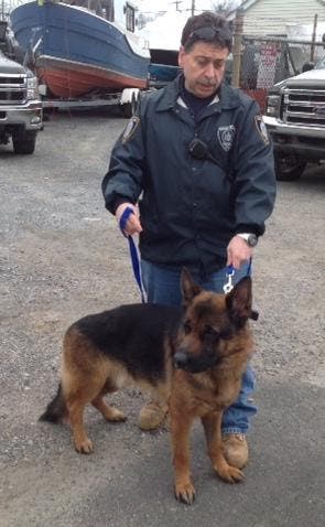 Dog With Muzzle Taped Shut Found Abandoned on Busy Long Island Road ...