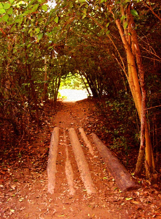 News small post card thumbnail