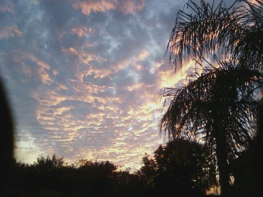Finally Some Cool Weather Makes an Appearance Land O' Lakes, FL Patch