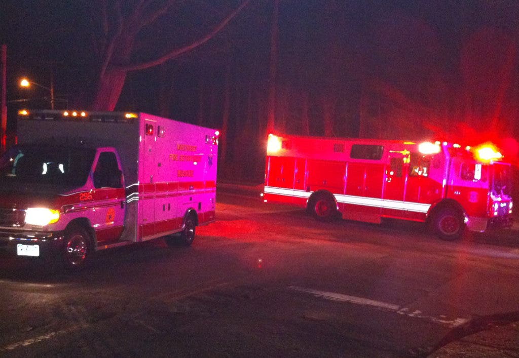 Northport Police Blotter Stuck Kitten, Parking Problems, Cycle Crash