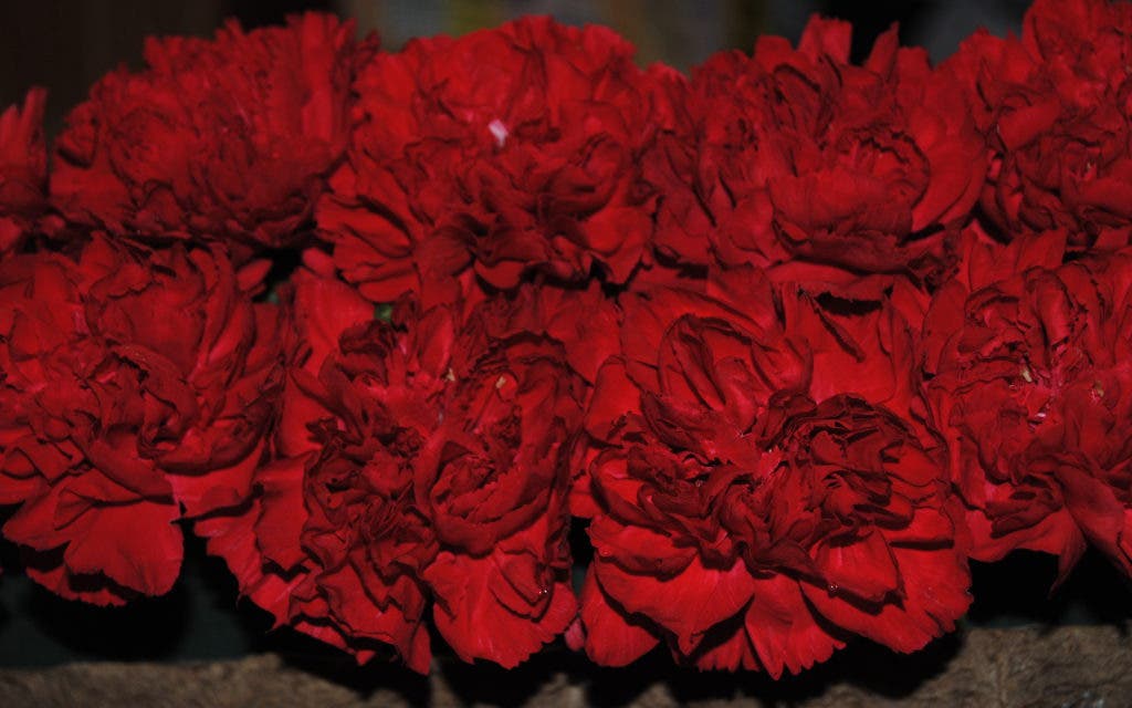 Ribbons, Roses and Chicken Legs | Commack, NY Patch