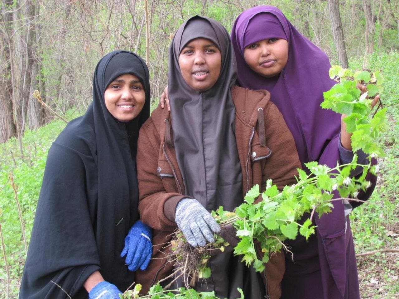 News small post card thumbnail