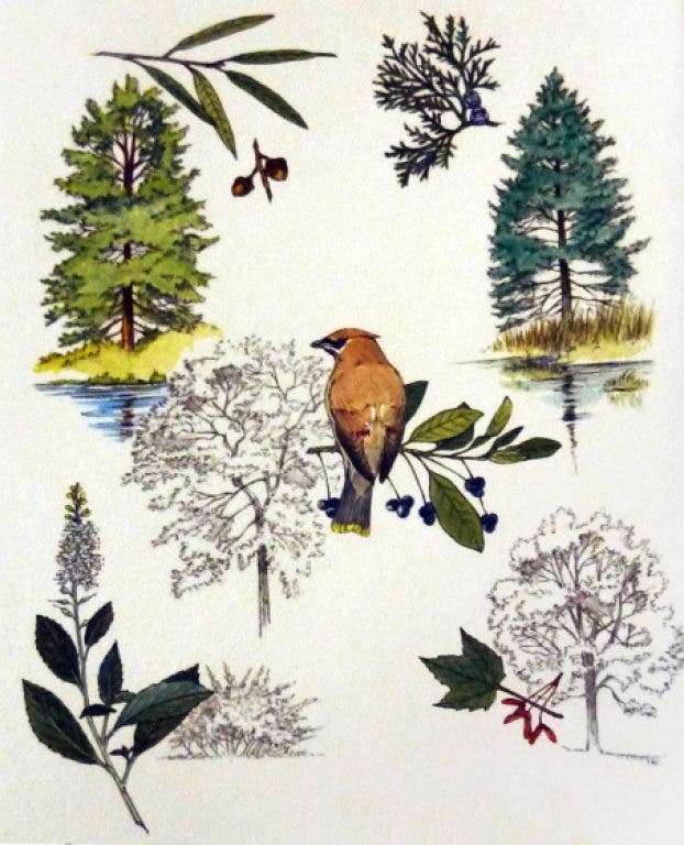 News small post card thumbnail