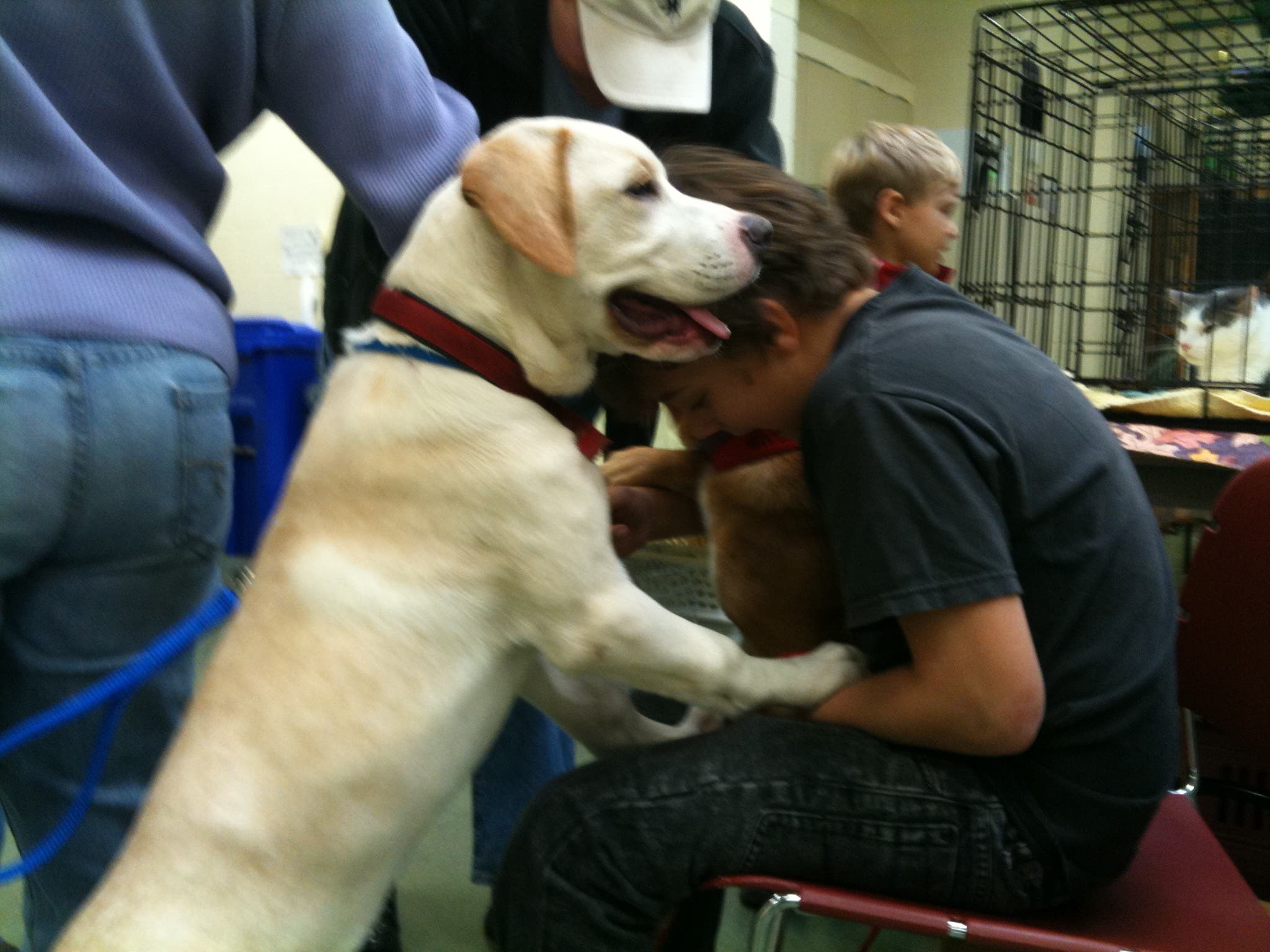 News small post card thumbnail