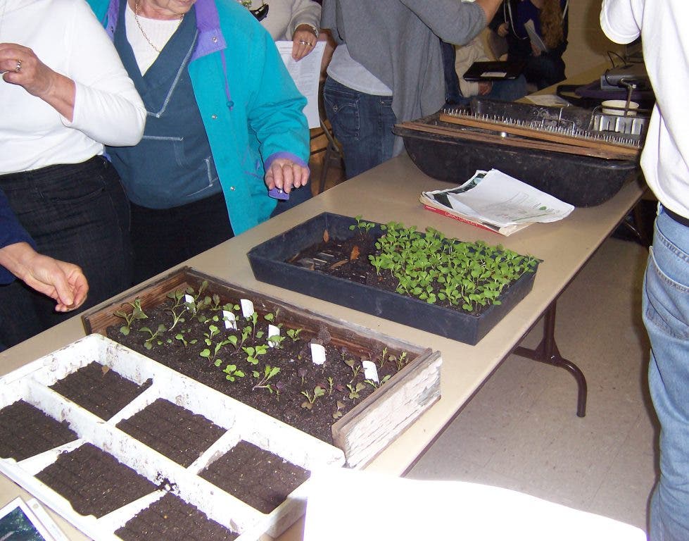 Master Gardeners Share Edible Landscaping Secrets Land O' Lakes, FL Patch
