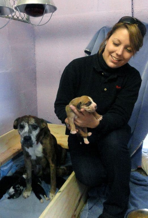 News small post card thumbnail