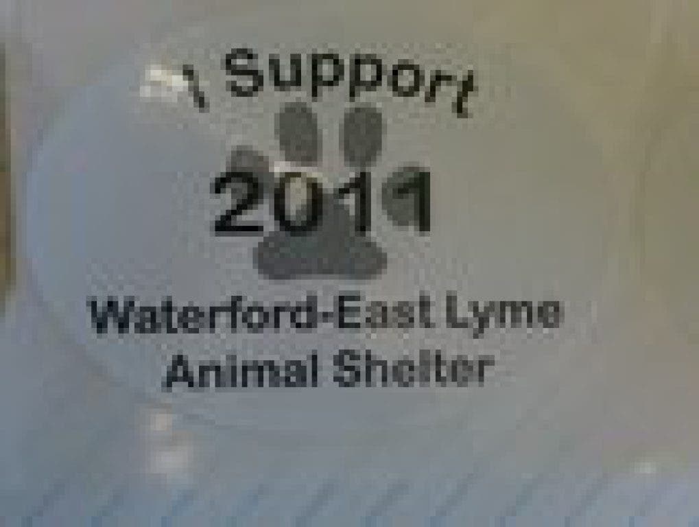 Donate To A New Animal Shelter; And More Waterford, CT