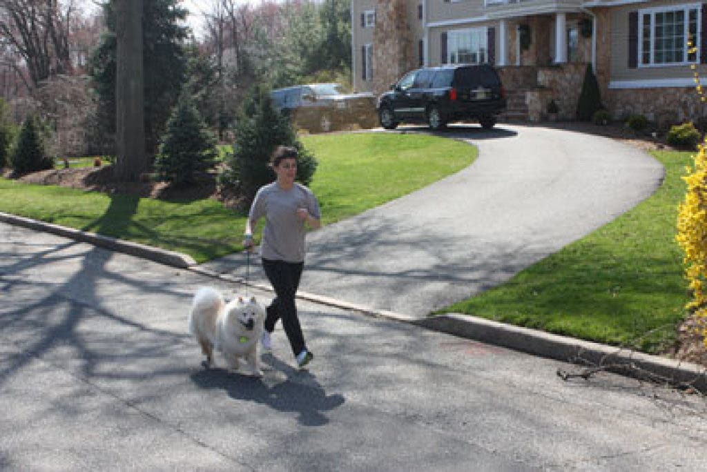 Christopher Rago Chris Rago is a Pet's Best Friend | River Dell, NJ Patch