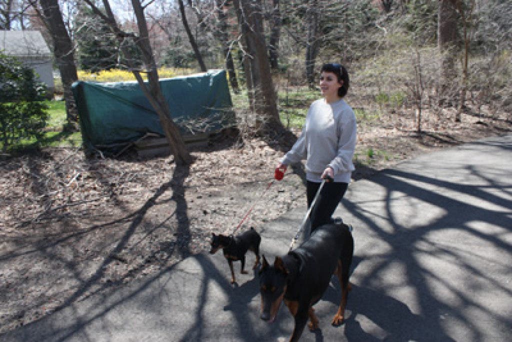 Christopher Rago Chris Rago is a Pet's Best Friend | River Dell, NJ Patch