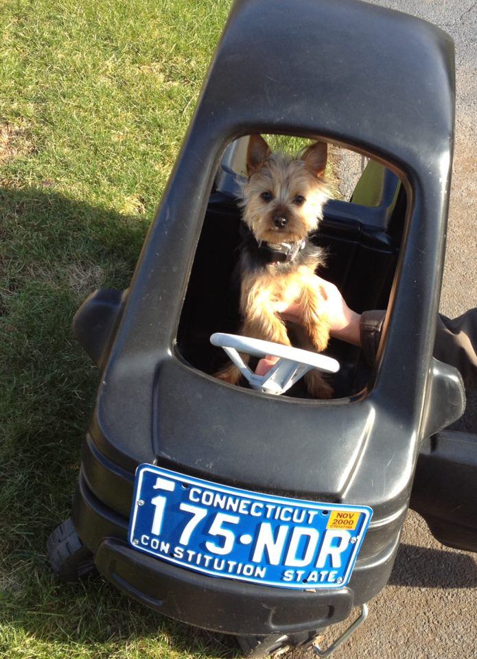 News small post card thumbnail