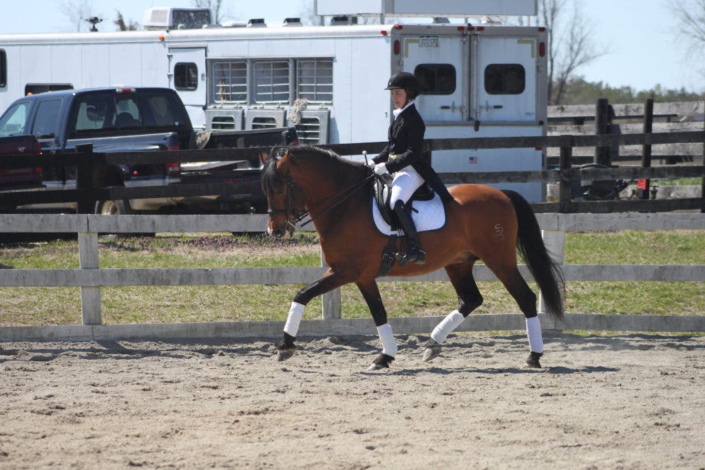 Piedmont Horse Expo Photos Fredericksburg, VA Patch