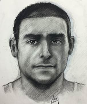 Police Release Sketch of Possible Suspect in Carjacking, Sexual Assault ...
