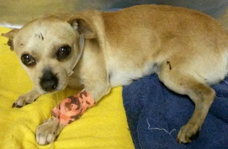 News small post card thumbnail