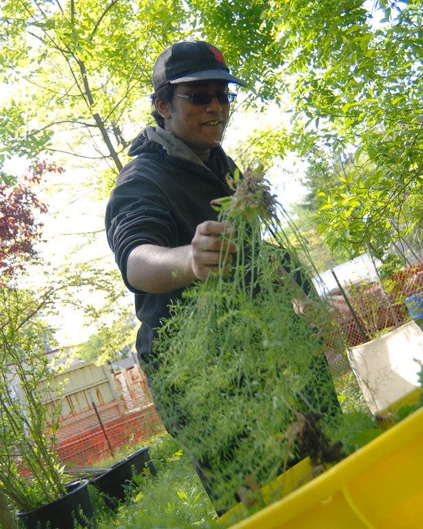 New Milford Celebrates Arbor Day New Milford, NJ Patch