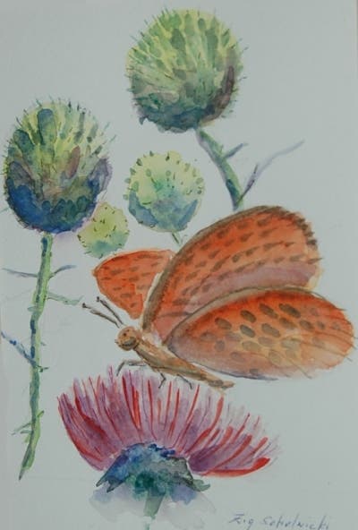 News small post card thumbnail