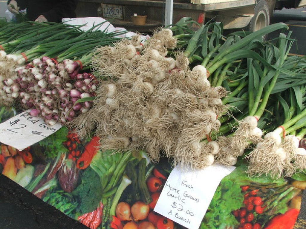 Brief Farmers Market to Fire Up in Woodbury Woodbury, MN