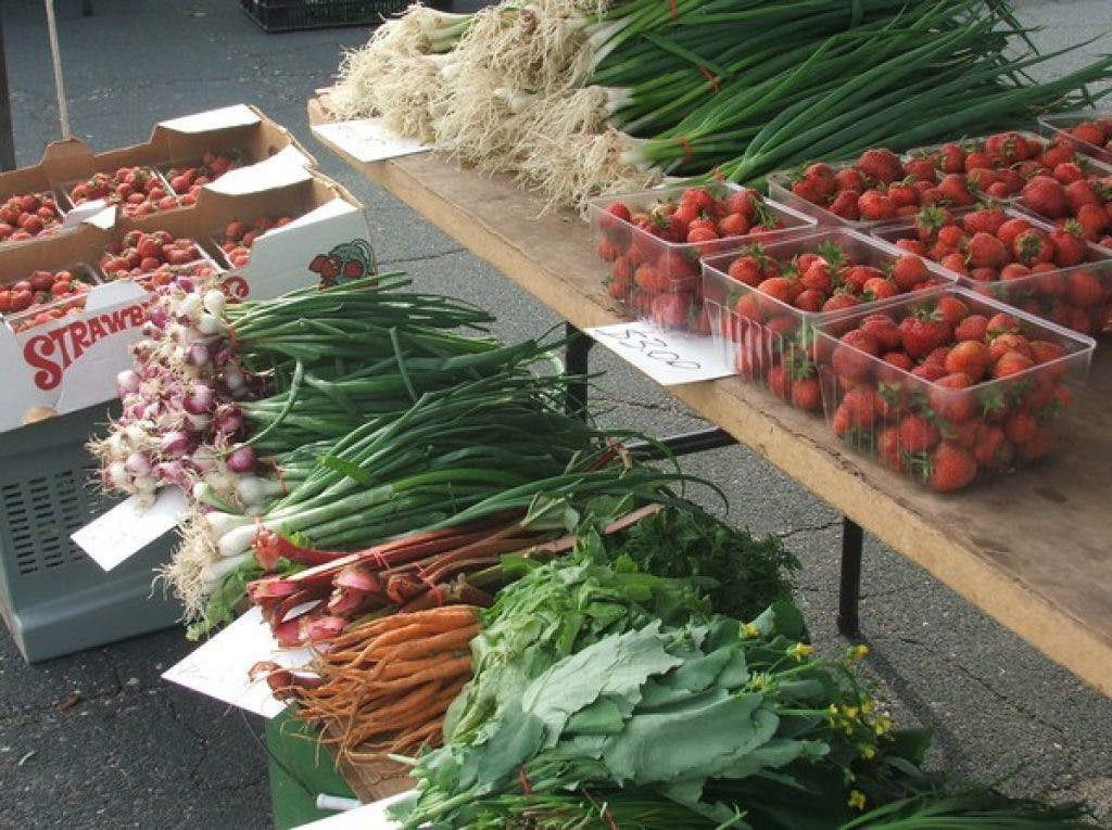 Brief Farmers Market to Fire Up in Woodbury Woodbury, MN