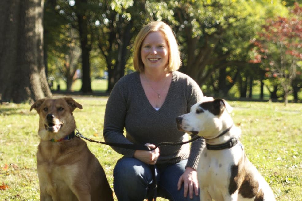 Charity Aims to Improve the Lives of Shelter Dogs BellevilleNutley