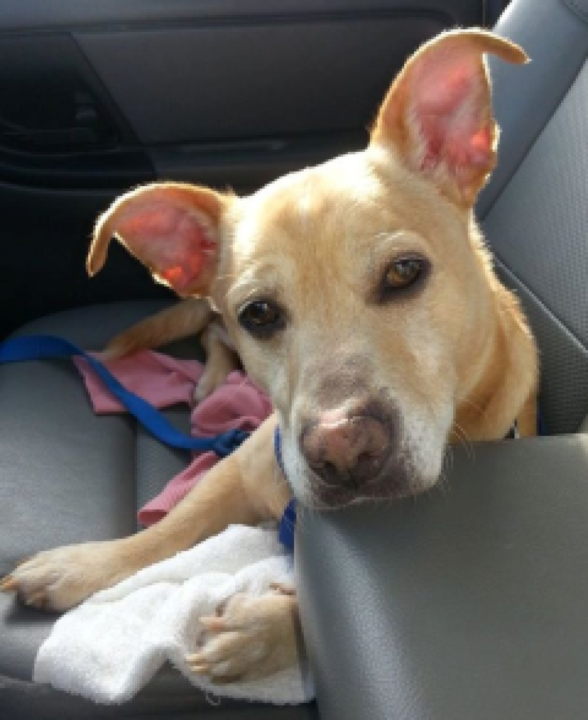 News small post card thumbnail