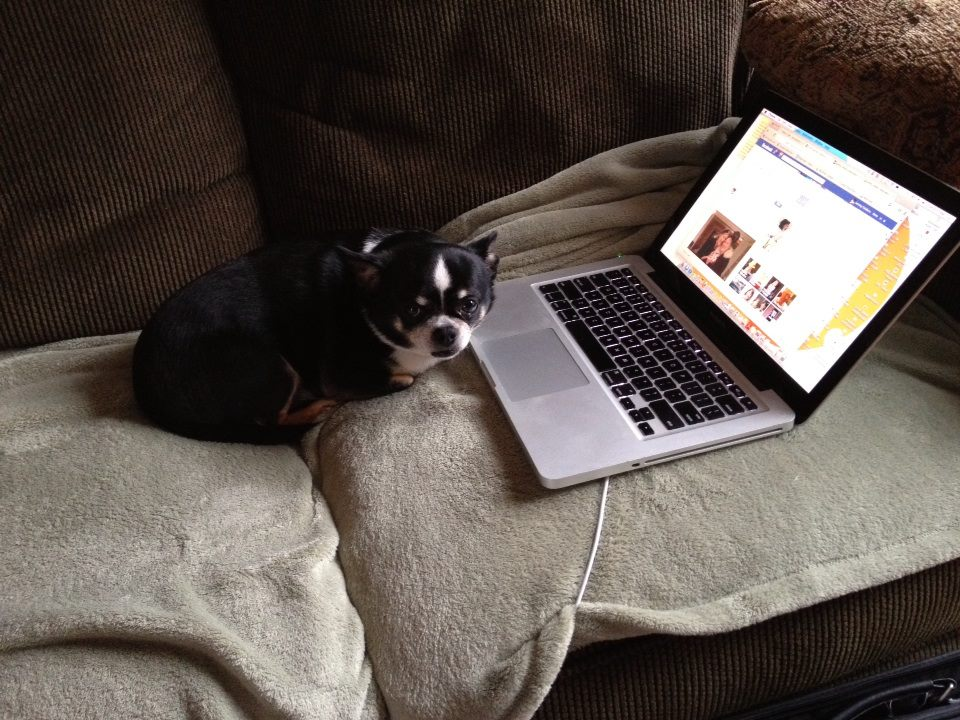 News small post card thumbnail