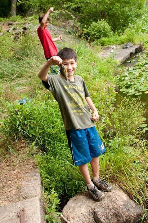 News small post card thumbnail