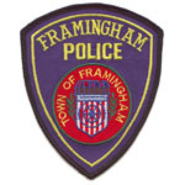 Police Log: Man Arrested at Dennison Playground; Charged with Domestic ...
