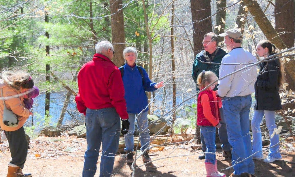 Viewfinder: Perspectives on Nature in Hamlen Woods | Wayland, MA Patch