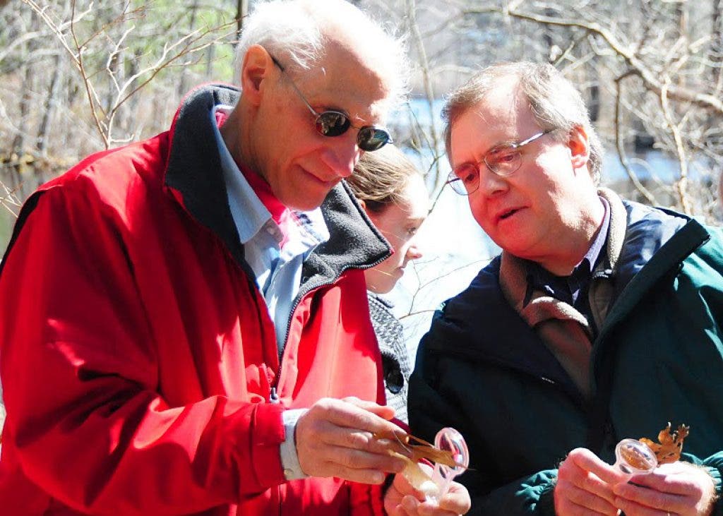 Viewfinder: Perspectives on Nature in Hamlen Woods | Wayland, MA Patch