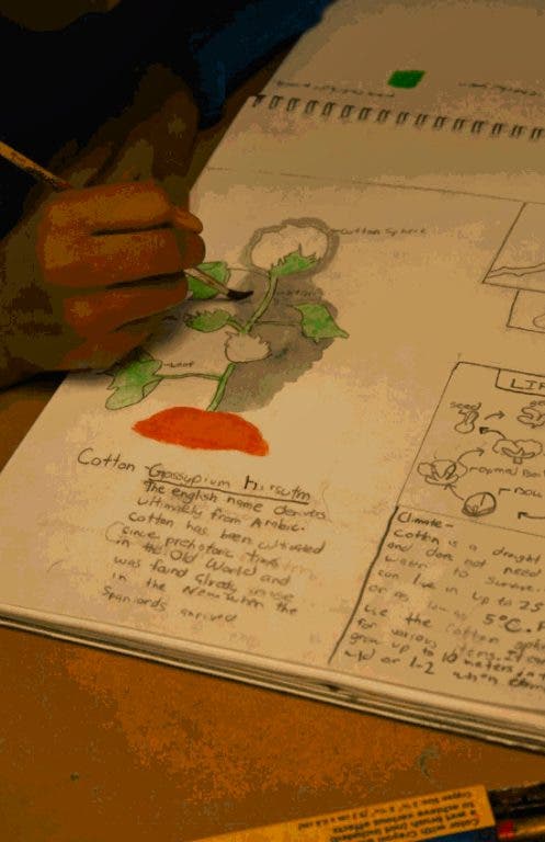 News small post card thumbnail