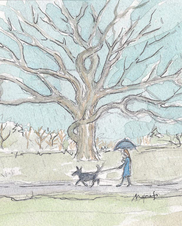 News small post card thumbnail